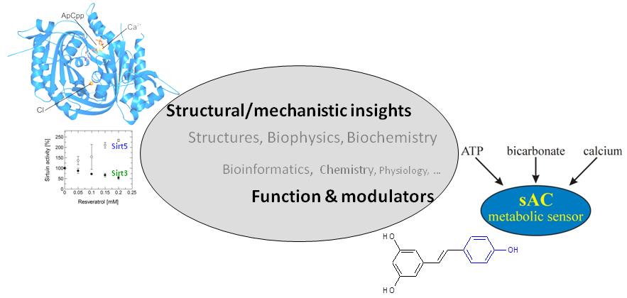 Signaling Mechanisms