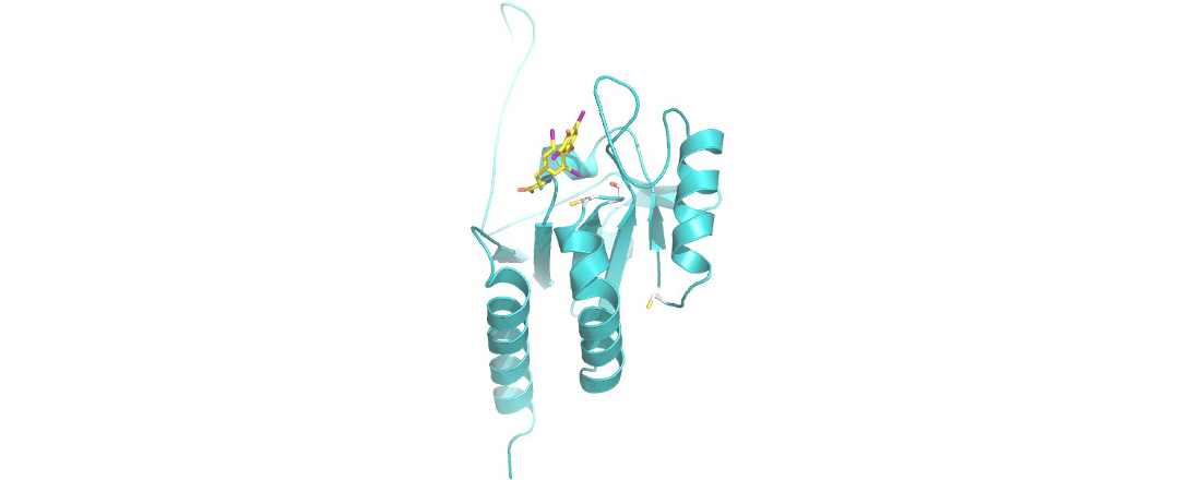 mouse-Dio3-catalytic-domain